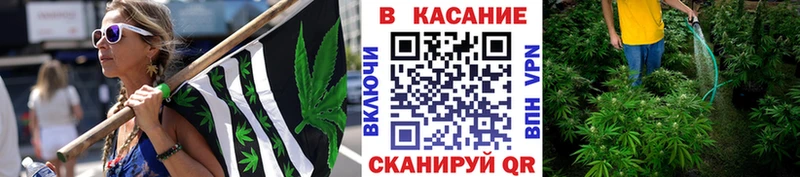 Галлюциногенные грибы Апшеронск