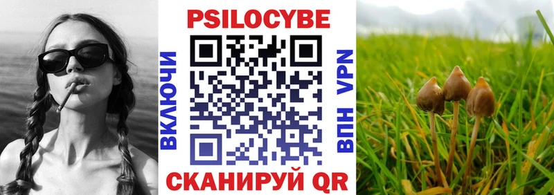 Псилоцибиновые грибы Magic Shrooms  mega маркетплейс  Апшеронск 