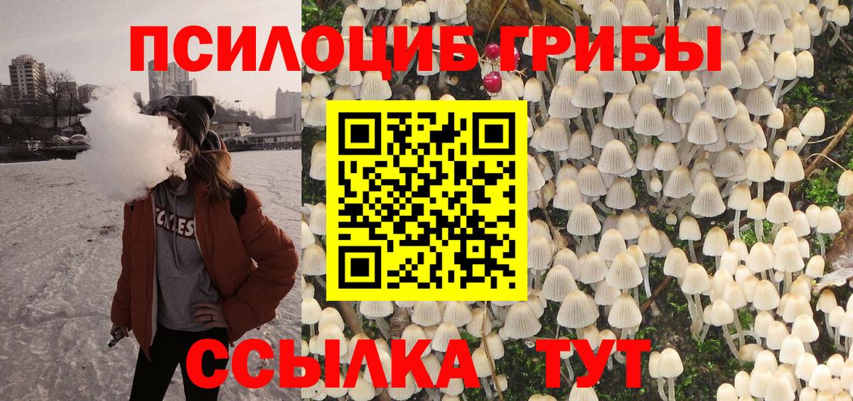 Псилоцибиновые грибы прущие грибы  Апшеронск 