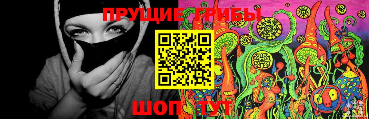 Псилоцибиновые грибы Psilocybine cubensis Апшеронск