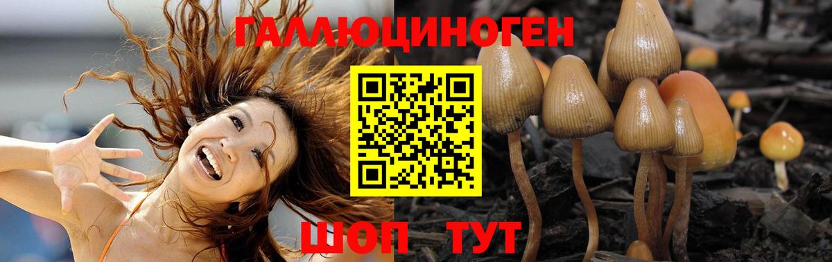 Апшеронск  Псилоцибиновые грибы Psilocybine cubensis  Псилоцибиновые грибы MAGIC MUSHROOMS  Вход с VPN 