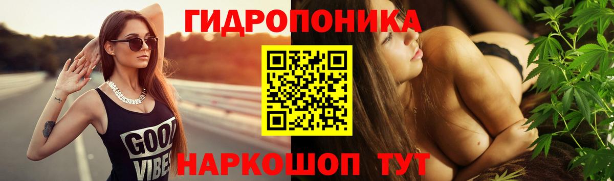 Каннабис OG Kush Апшеронск
